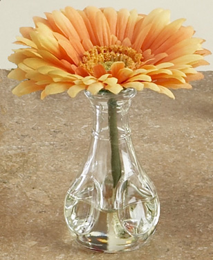 click to see more